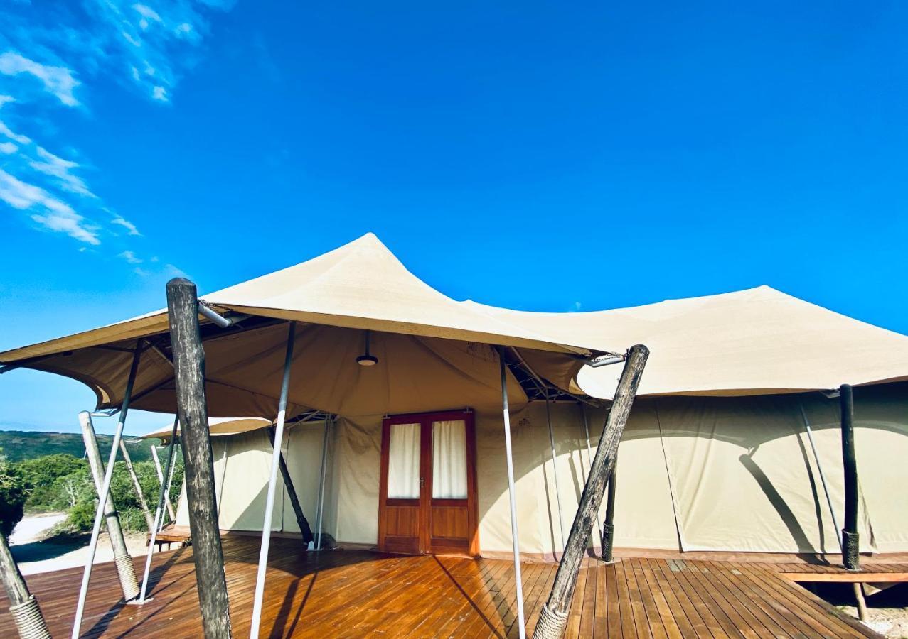 Parkview Safari Lodge Колчестер Экстерьер фото