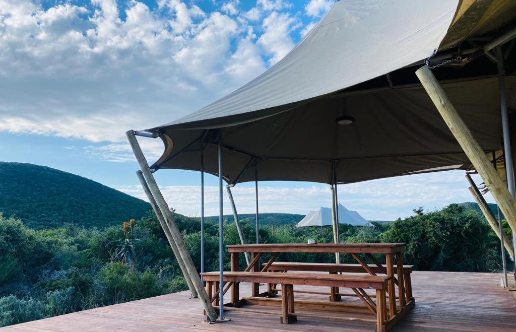 Parkview Safari Lodge Колчестер Экстерьер фото