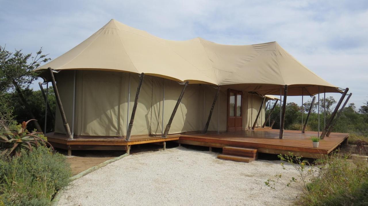 Parkview Safari Lodge Колчестер Экстерьер фото