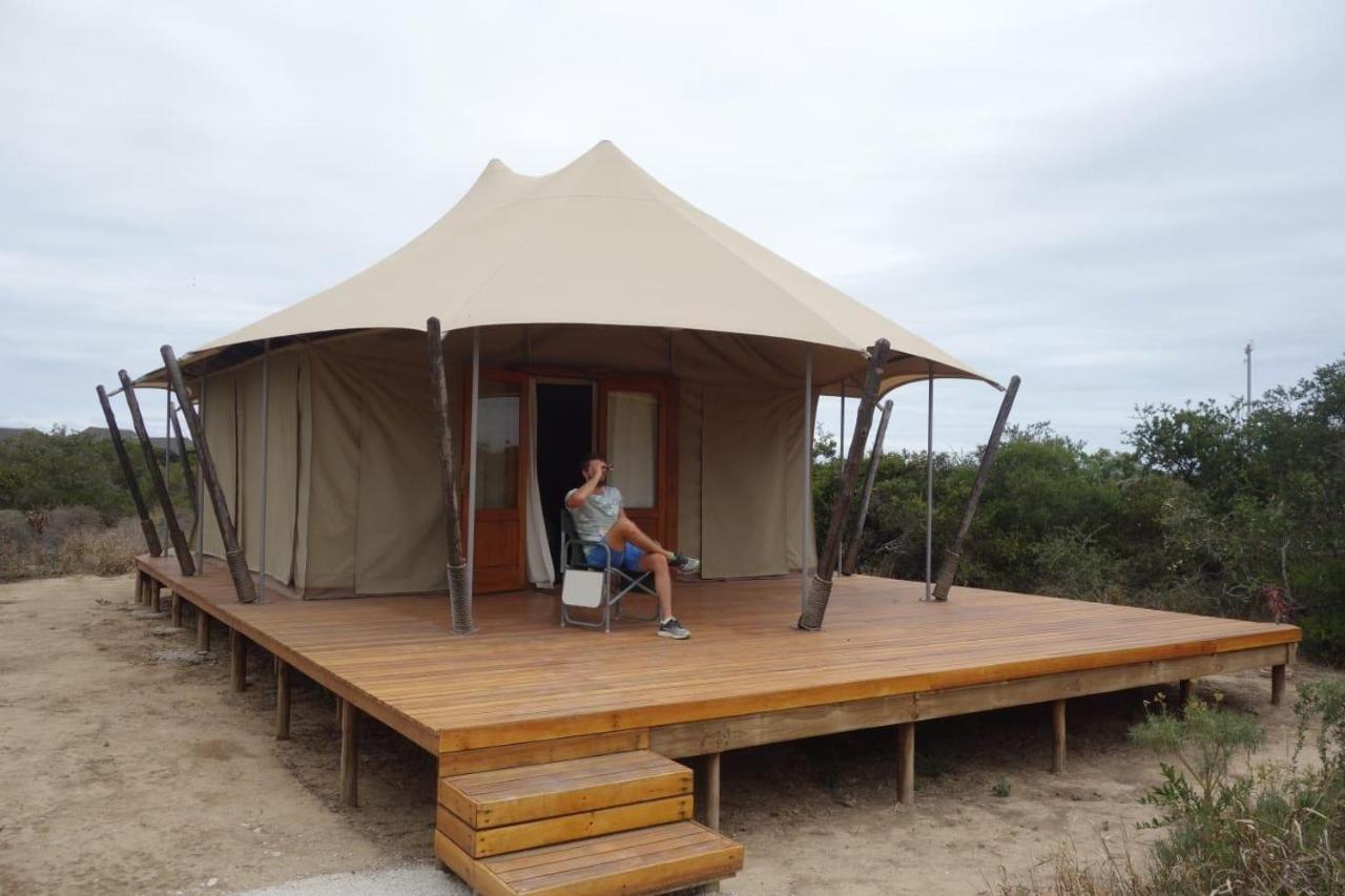 Parkview Safari Lodge Колчестер Экстерьер фото